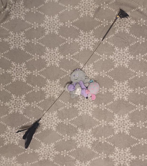 Zestaw zabawek dla kota