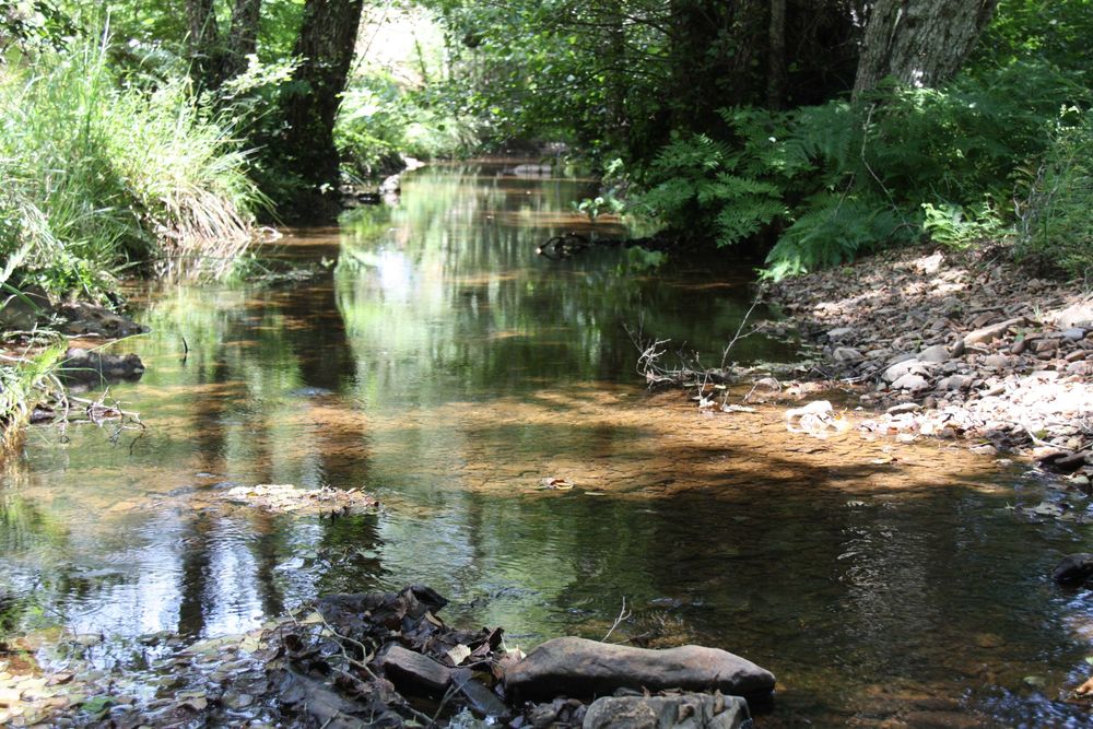 Herdade de 98,6 ha de área e 5 edificações em São teotónio - Odemira