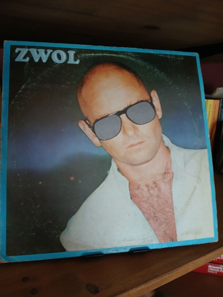 Vendo vários  vinys