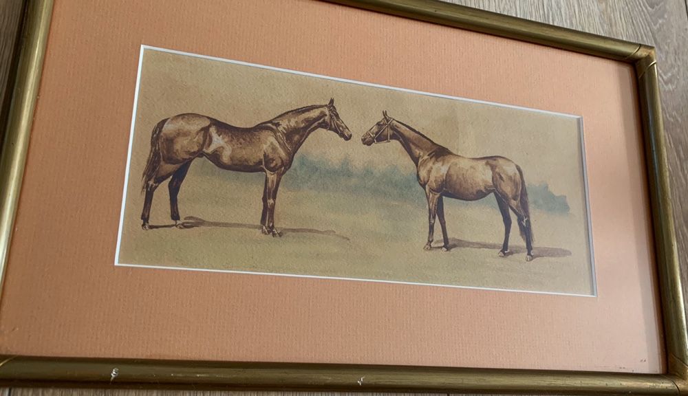 Stara akwarela stary obraz konie vintage