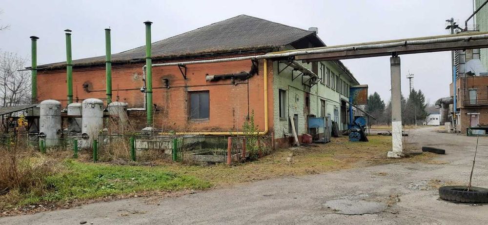 Промисловий комплекс 41 969 м2, 18,5 га, Неполоківці, Магістральна, 43