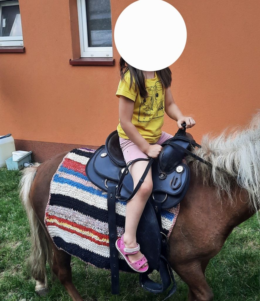 Klacz kucyka ze źrubką