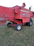 Kombajn zbożowy MF 560 Massey Ferguson jak Bizon Class New Holland