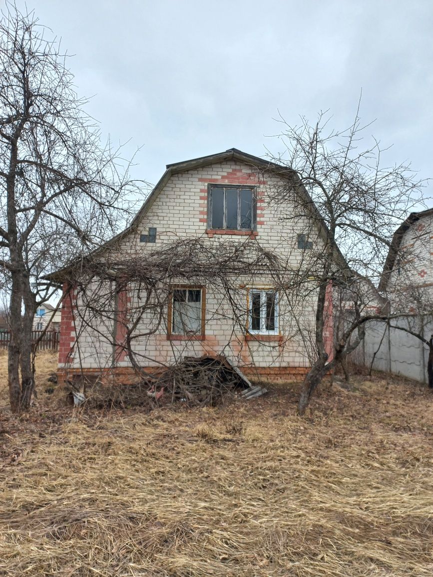 Продам дачу в Березанці