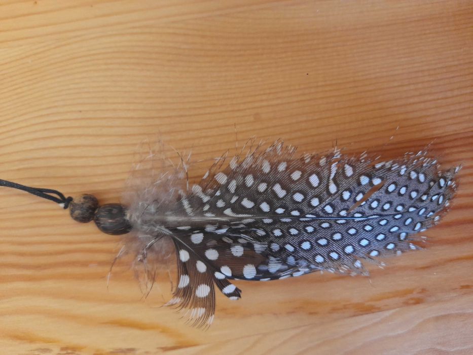 Colares novos para senhora