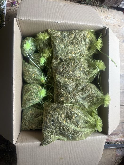 Продам віники для бані