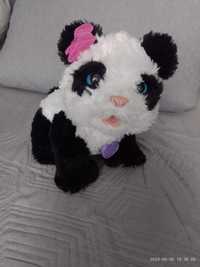 Panda interaktywna Furreal friends hasbro