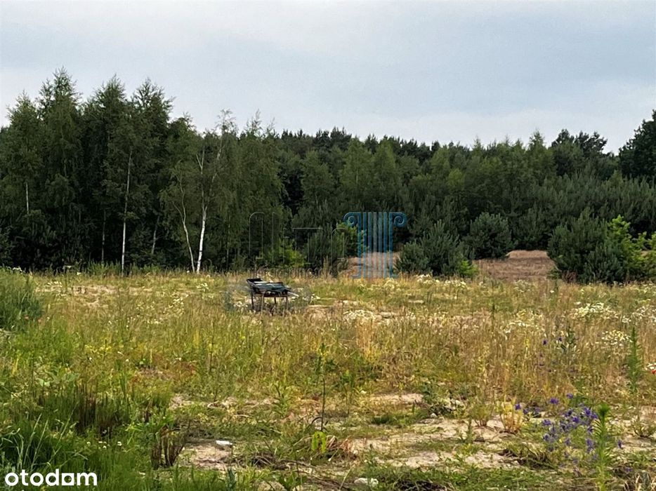 Znakomita Działka W Osielsku Na Granicy Z Niemczem