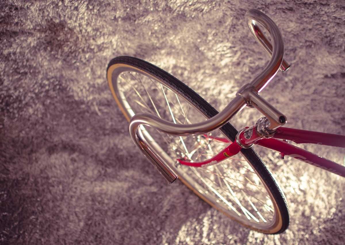 Bicicleta holandesa vintage Gazelle Reynolds 525 + Campagnolo
