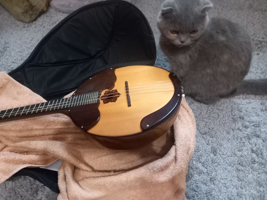 Продаю домбру в хорошому стані.професійну