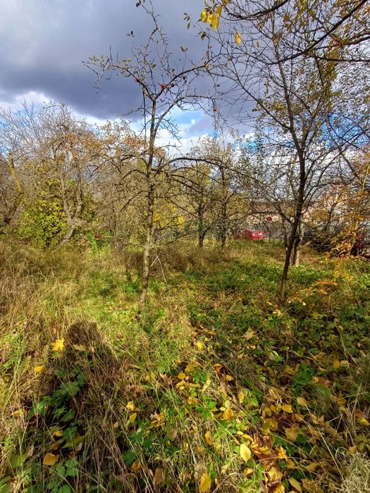 Продаж земельноі ділянки, р-н Руськоі