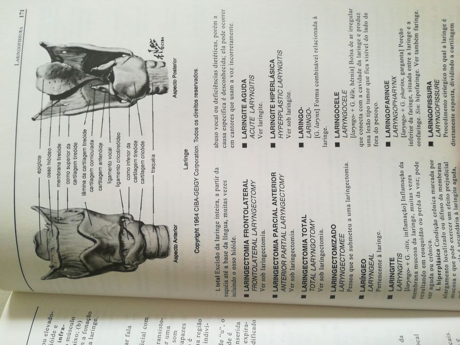 Vocabulário dos distúrbios da comunicação