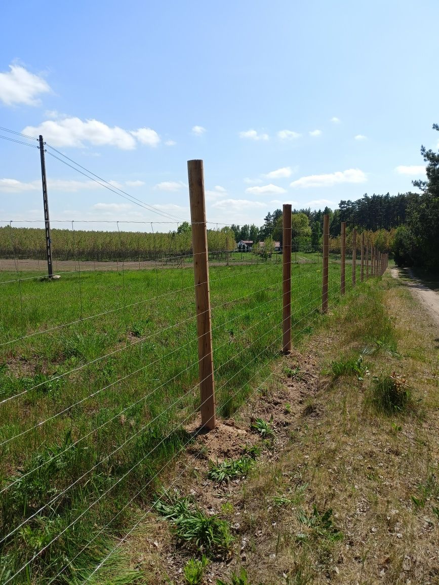 Ogrodzenie Leśne Tymczasowe Ogrodzenie Budowlane Siatka leśna