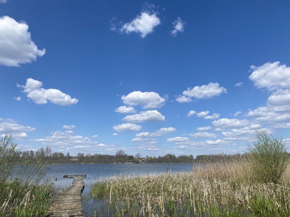 Продам будинок в с. Доротище, від власника
