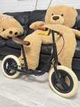 Bicicleta sem pedal