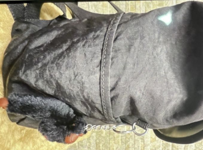 Рюкзак от Киплинга