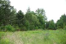 PILNIE SPRZEDAM | Działka budowlana 1838 m² Rozalin | Atrakcyjna cena!