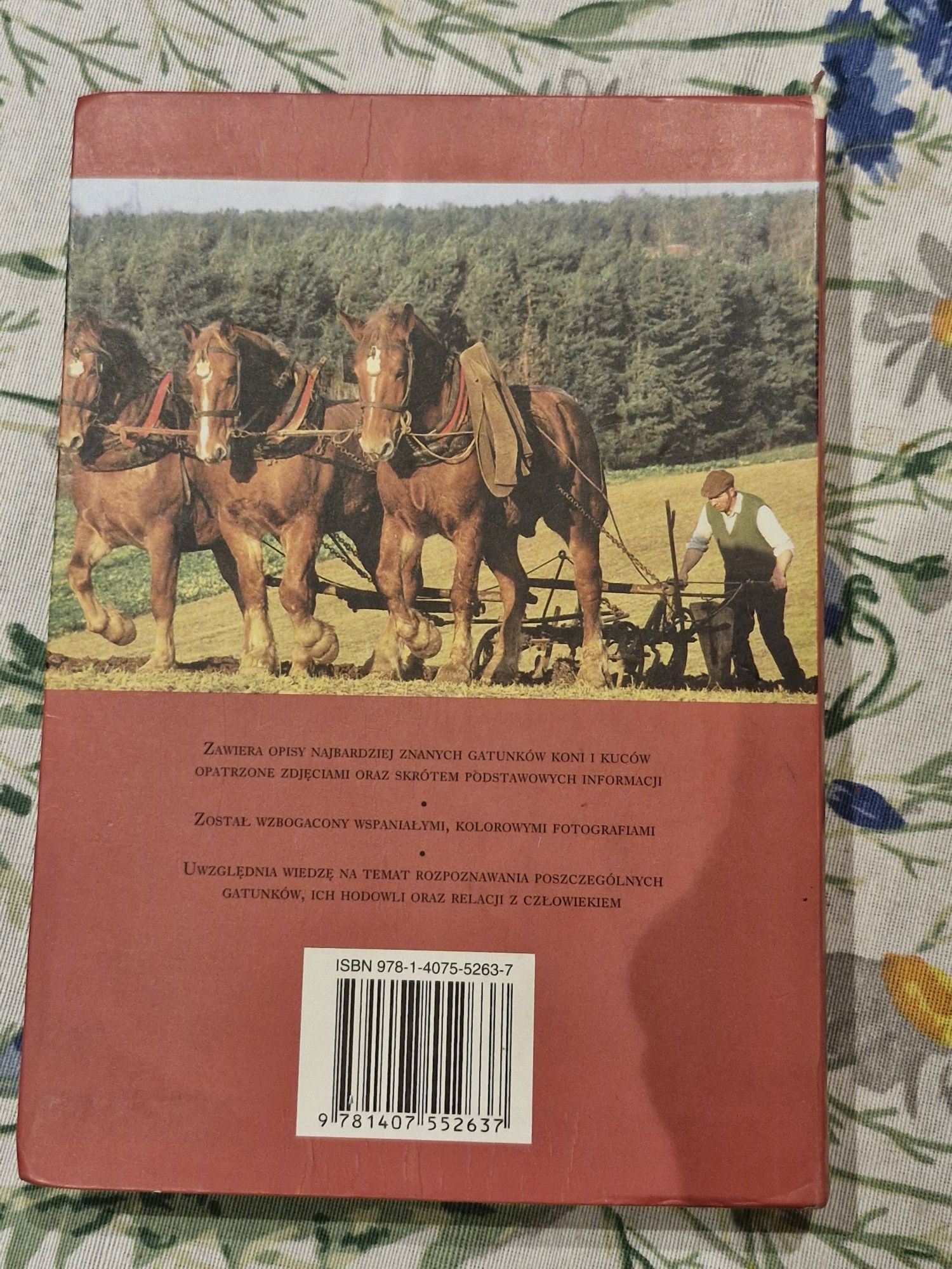Konie i kuce. Kieszonkowy przewodnik