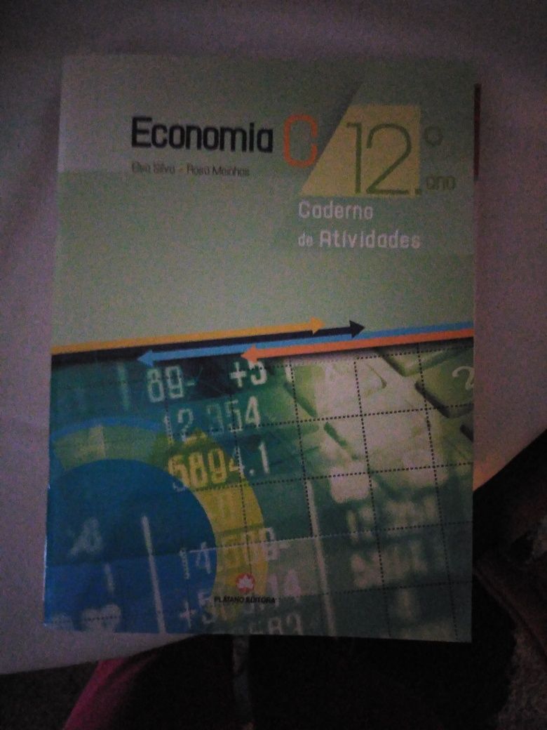 Caderno atividades economia 12