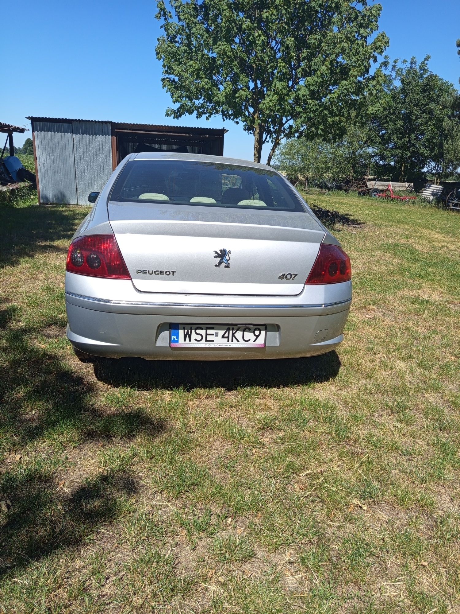 Alto sprawne 100 procent