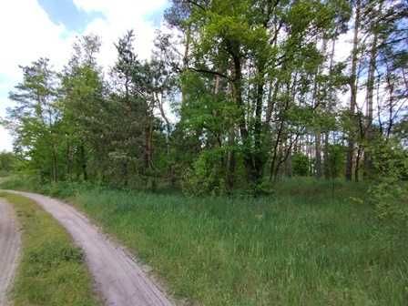 Ділянка під забудову в Лісі