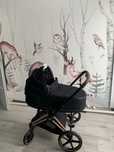 Cybex Priam 2.0 Rose 2w1