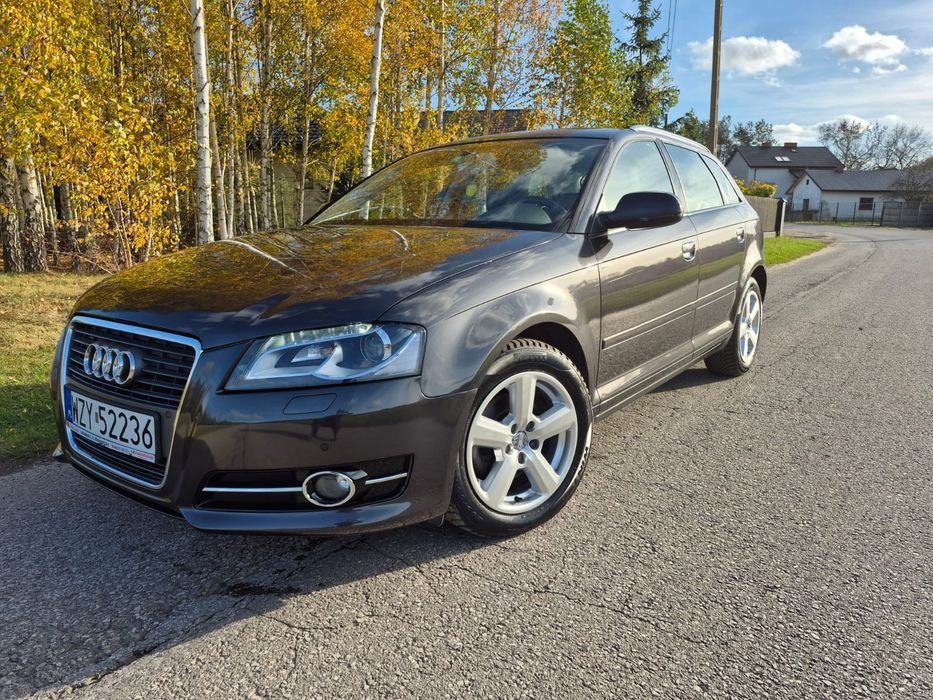 Audi a3 8p 1.8 tfsi