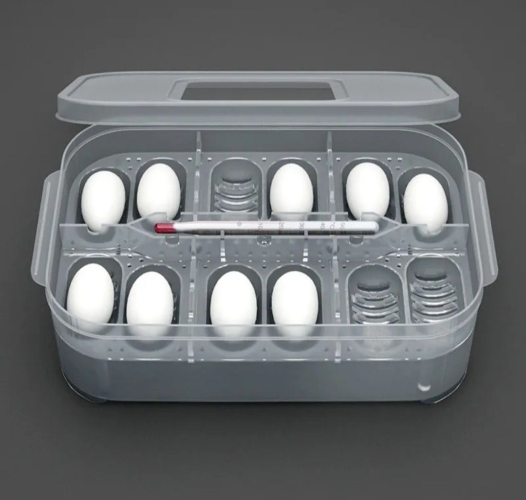Caixas incubadoras para ovos de répteis - Novas