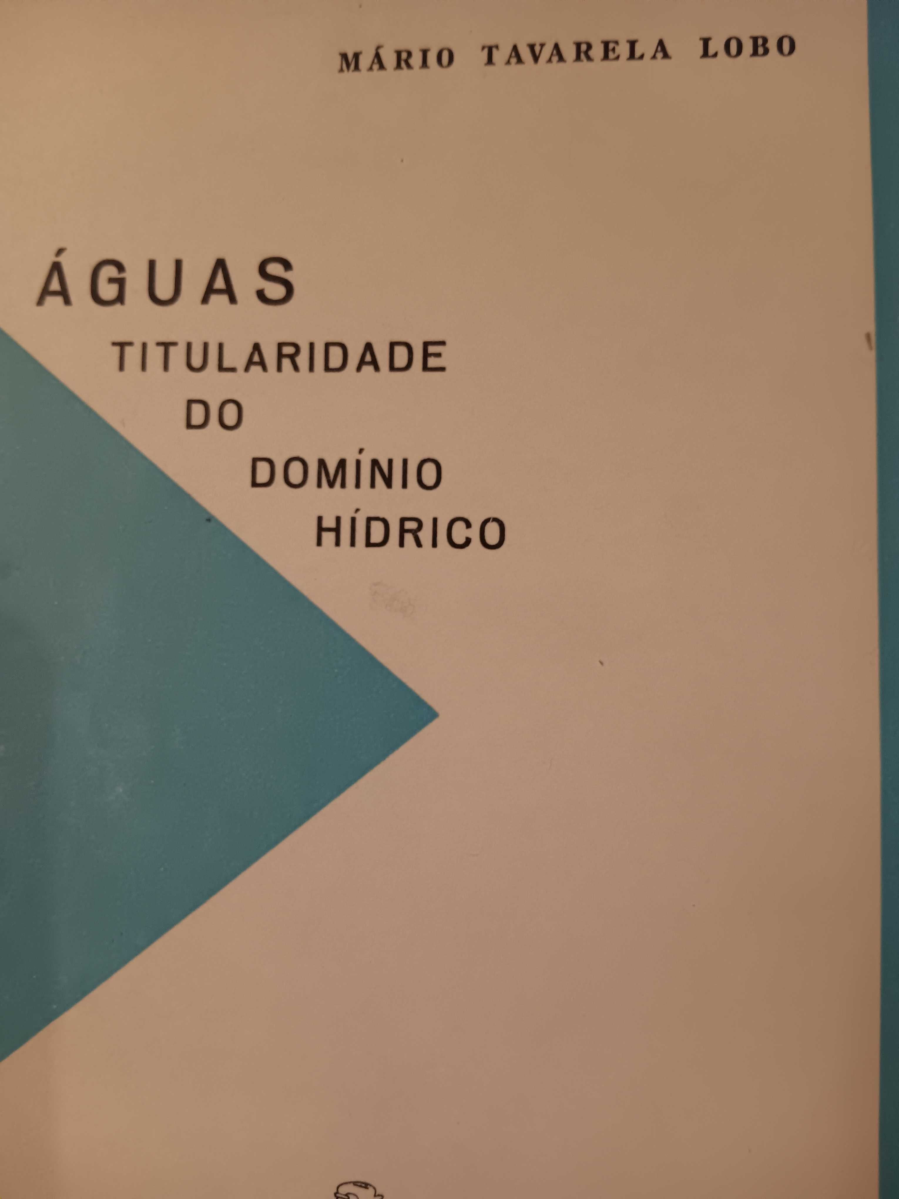 ÁGUAS titularidade do domínio hídrico, Tavarela Lobo