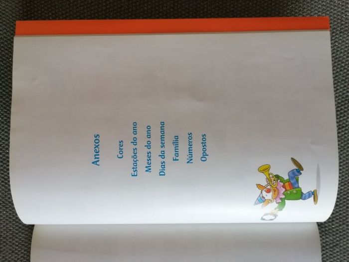 Dicionários ilustrados Português-Inglês (Preço do conjunto)