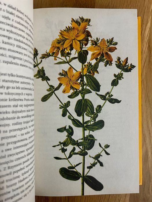 Simona Kossak o ziołach i zwierzętach