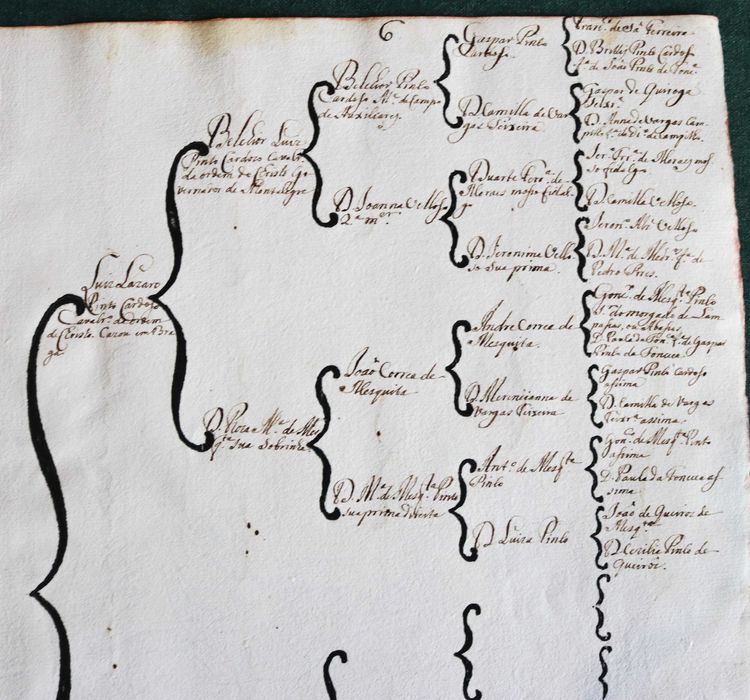 Luiz Lazaro Pinto Cardoso Mirandela e Braga costados