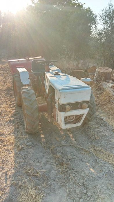 Trator articulado tração ás 4 Pasqual 21cv