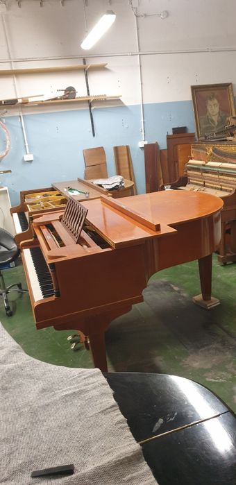 Fortepian Steingraber w cenie pianina