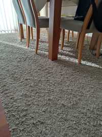 Carpetes e tapete