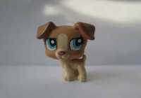 Figurka pies Jack Russel Terrier Littlest Pet Shop LPS piesek Hasbro