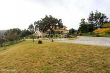 Quinta c/moradia T10 | 1ha de terreno | Figueira da Foz