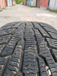 шини Nokian Tyres 205/60/16 зимові