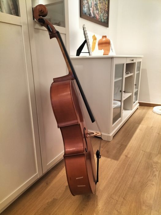 Violoncelo 3/4 Stentor 2