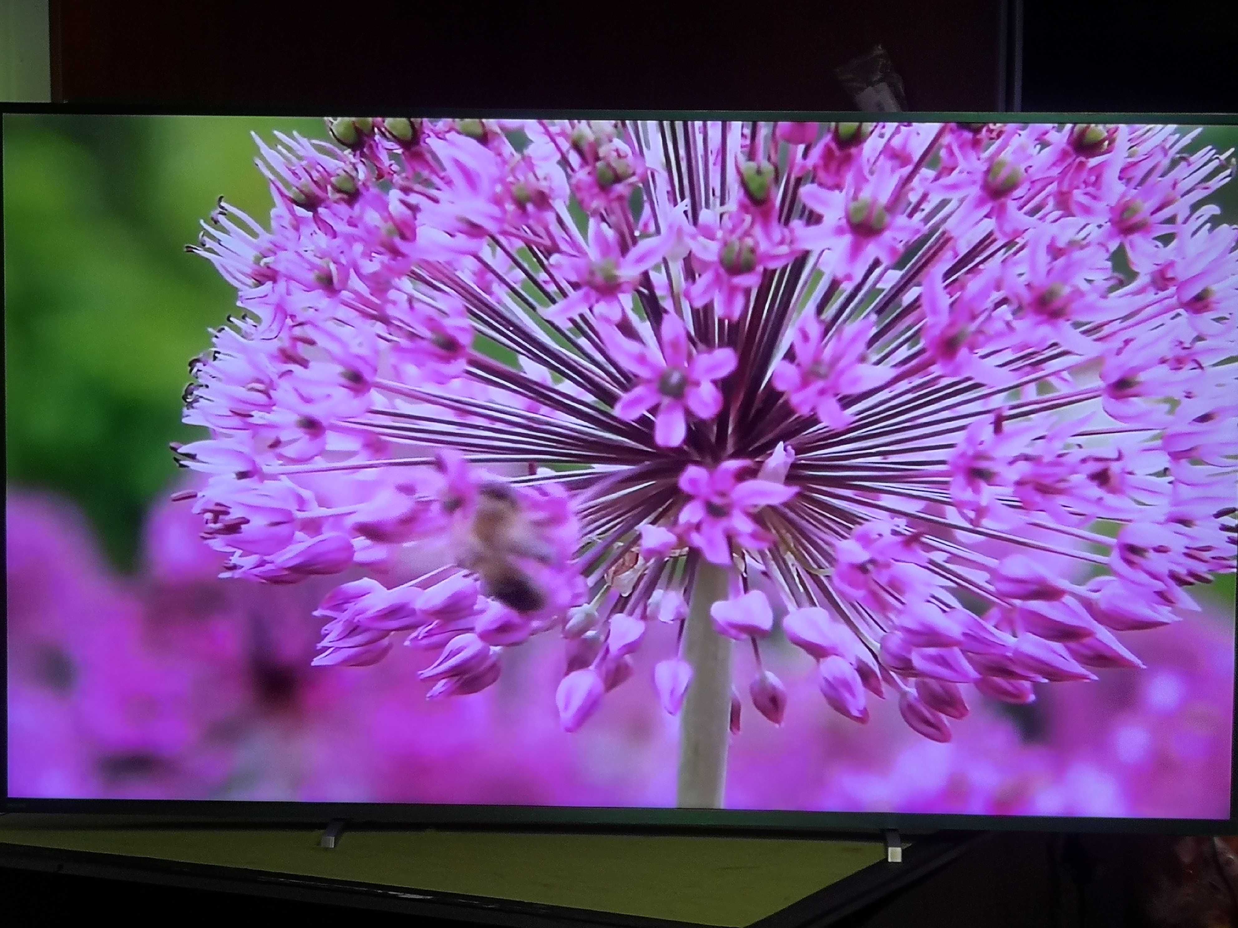 Telewizor Philips 70 cali 4K UHD, Smart wifi, Super Stan