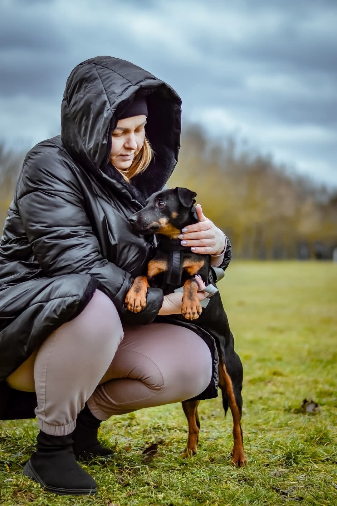 Młody, drobny terrierowaty Rolo szuka domku!