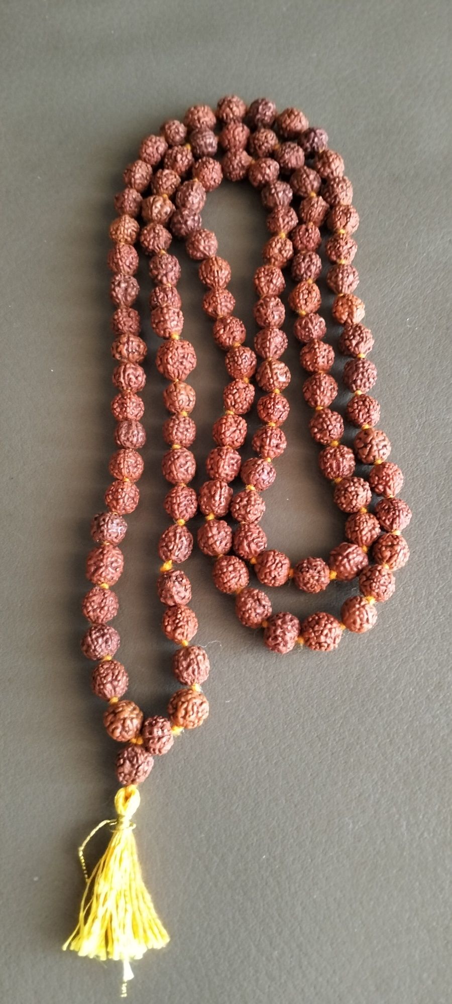 Japamala rudraksha