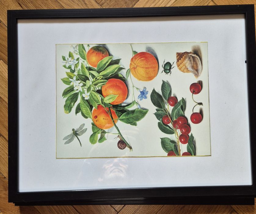 Obrazki w ramkach ze szkłem owoce