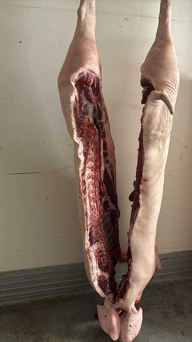 Półtusze Wieprzowe  Od Rolnika Subkowy