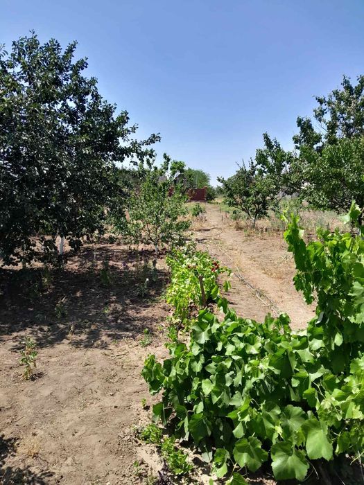 Продам дом в Овидиополе