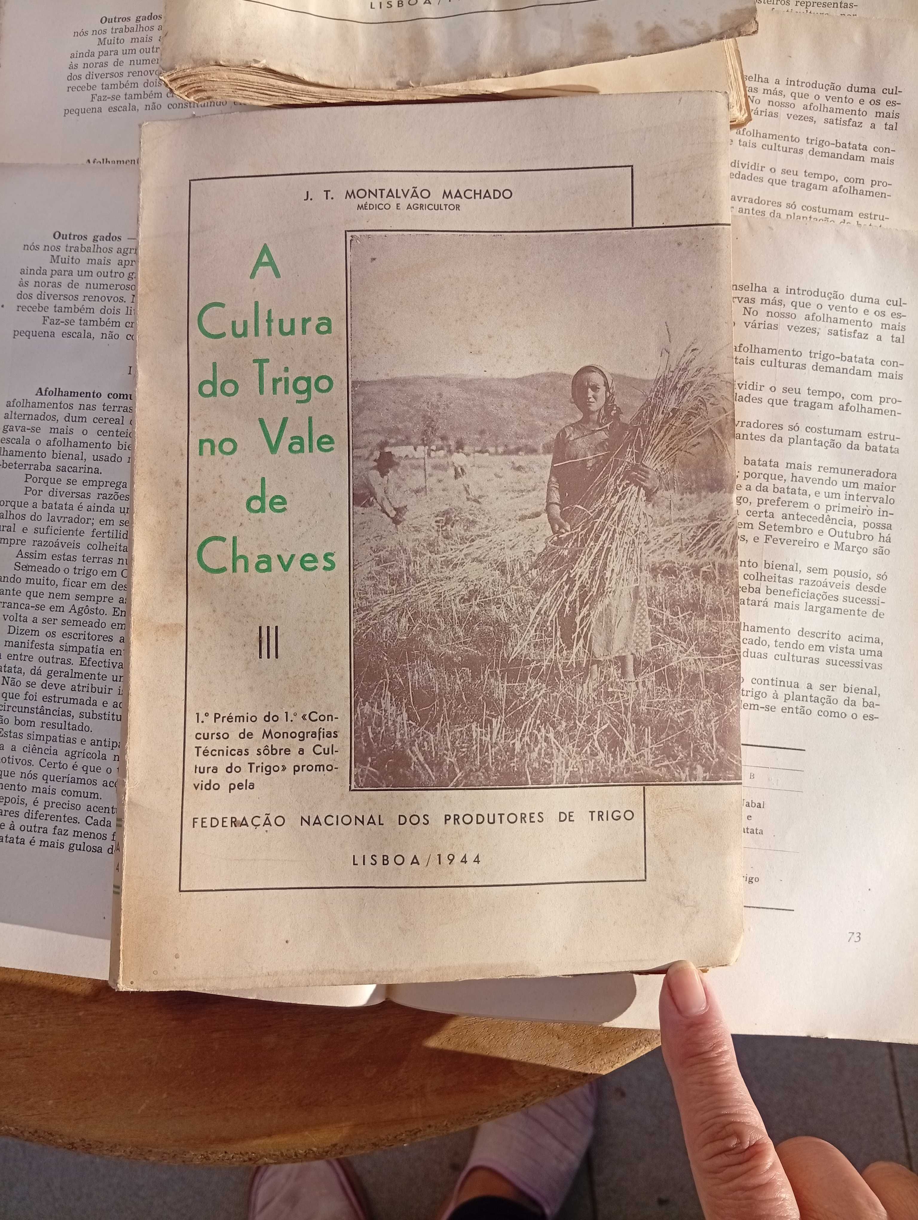 Oito Livros/monografias, vintage, 1944, de Júlio T. Montalvão