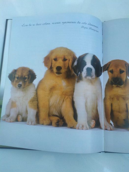 Наши  верные друзья -собаки.Книга.
