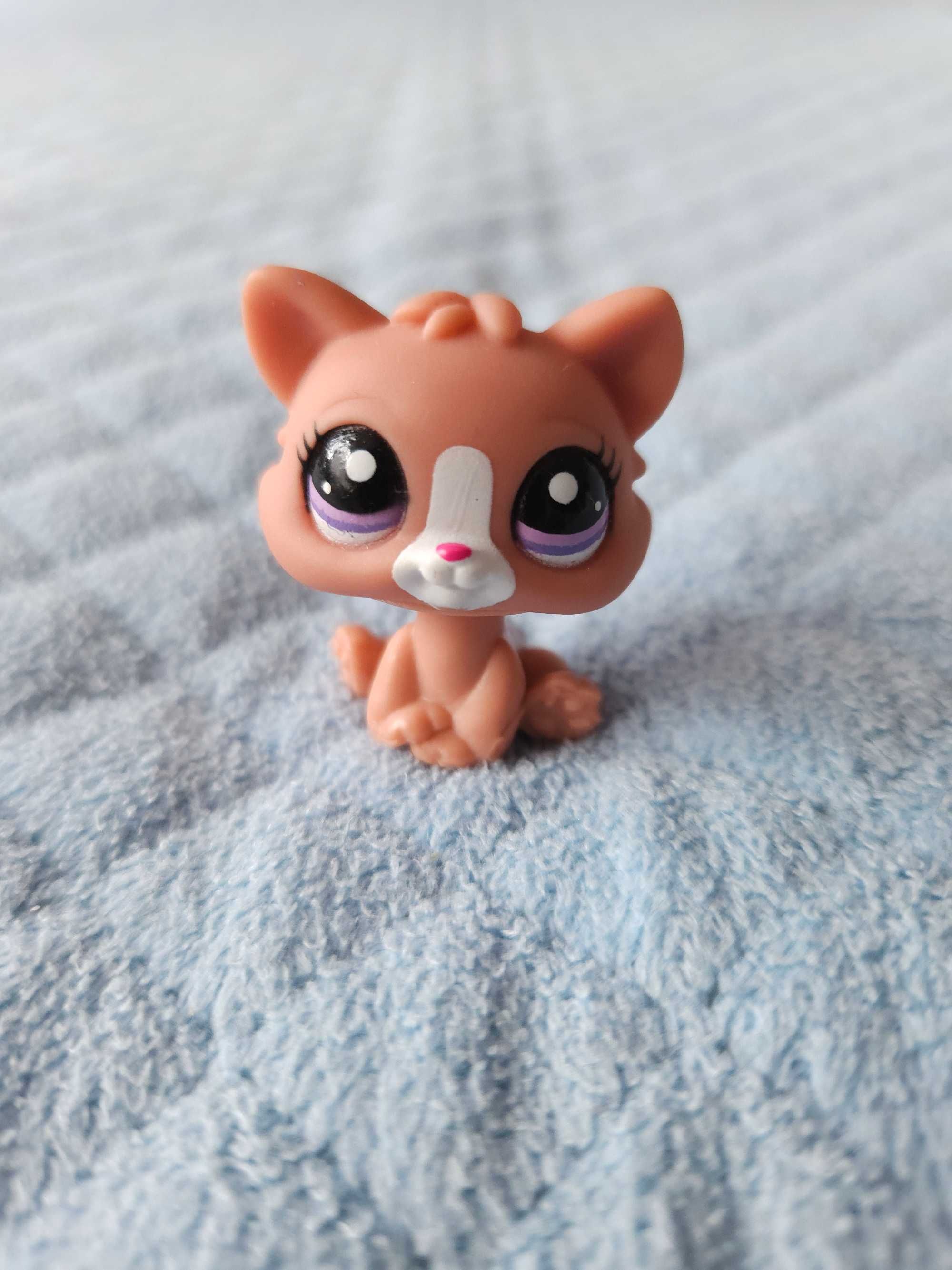 Figurka Littlest Pet Shop - Blind Bags Kitten (#2191)