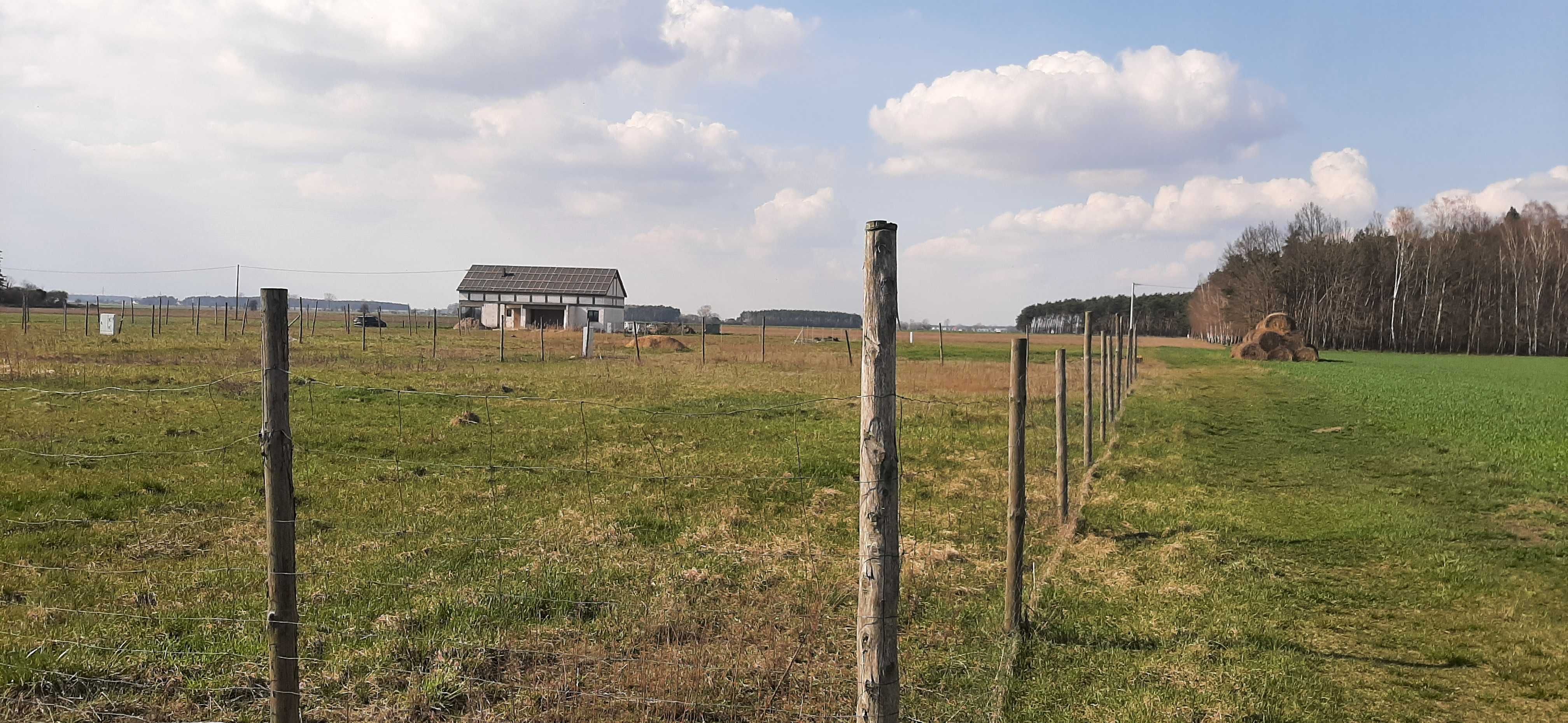 Działka z MPZP, mieszkaniowa plus usługi, 8 km od Gniezna