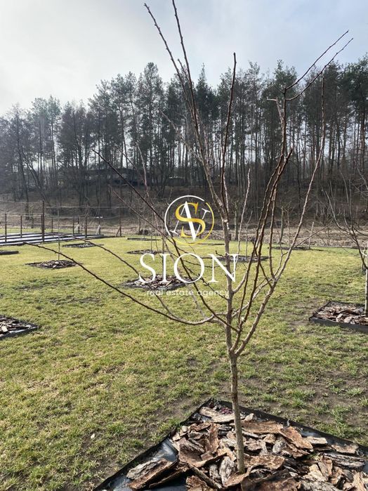 Продаж ділянки 1,5 Га, Ходосівка, сосни, під котеджне містечко